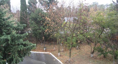Bu gün hava yağmurlu olacaq