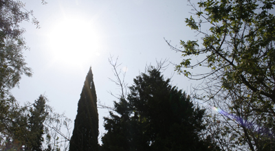 Bu gün Bakıda havanın temperaturu 40 dərəcəyə çatacaq