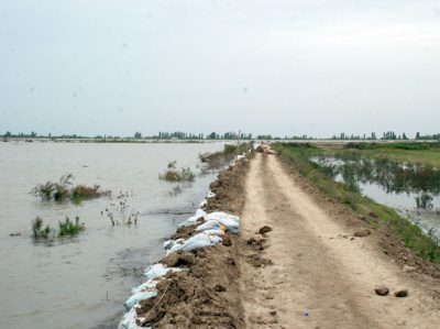 Akkord Kür sahilində 34 km-lik mühafizə bəndi tikib