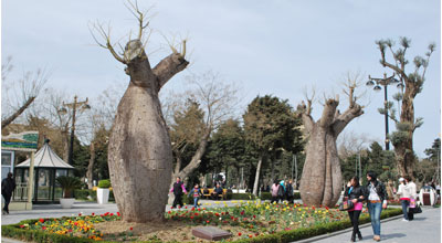 Dənizkənarı Milli Parkdan fotoreportaj