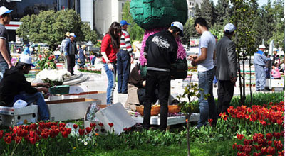 Bakı gül bayramına hazırdır