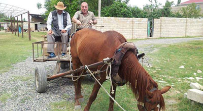 Penah Hüseyn at arabasında