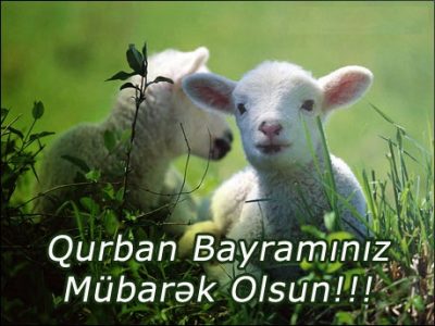 Qurban Bayramınız mübarək olsun