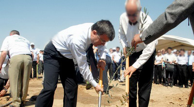 ETSN bir günə 4000 ağac əkib