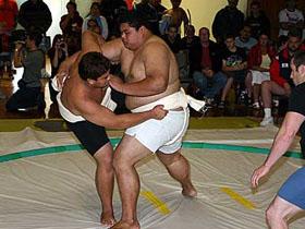 Sumo çempionatı başa çatıb