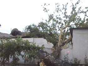 Qasırğa Daşkəsəndə evlərə ziyan verib