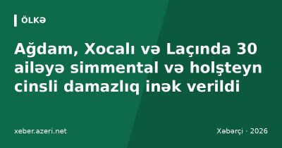 Ağdam, Xocalı və Laçında 30 ailəyə simmental və holşteyn cinsli damazlıq inək verildi
