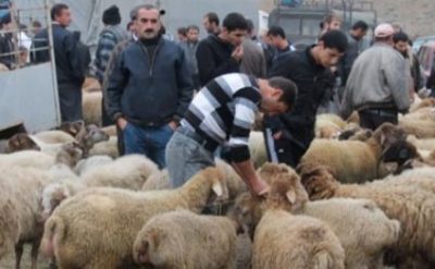 Qurbanlıq heyvan yarmarkalarının ünvanları