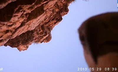 Qartal kamerada