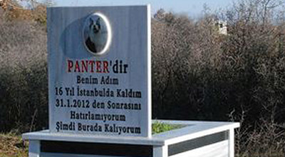 Pişik üçün mərmərdən məzar