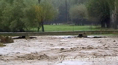 Qapıçayın vurduğu ziyanın həcmi hesablanır