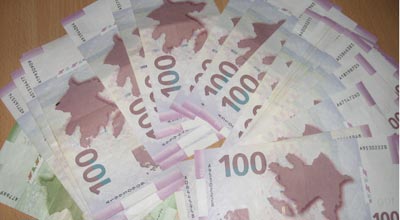 Dövlete mexsus pitixana satışa çıxarıldı