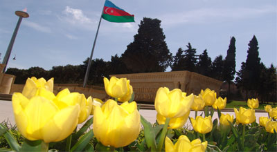 Bakı sarı lalələrə bürünüb