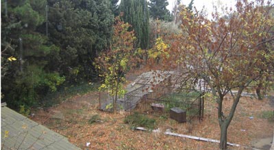 Bu gün hava necə olacaq?