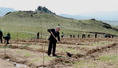 Vasif Talıbov ağac əkib