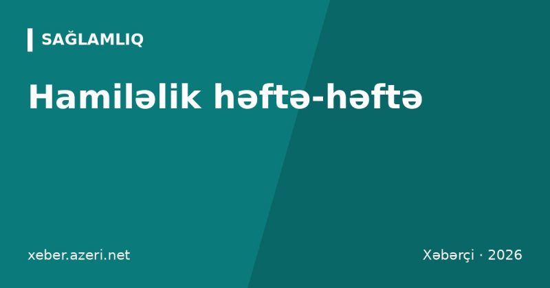 Hamiləlik həftə-həftə: trimestrlər, müayinələr, doğuş tarixi və analıq məzuniyyəti