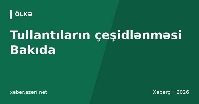 Tullantıların çeşidlənməsi Bakıda: plastik, şüşə, batareya və elektronikanı hara vermək