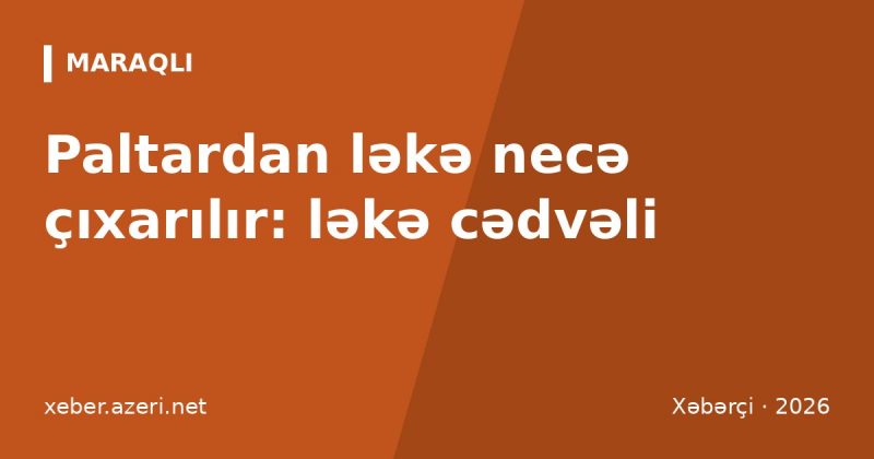 Paltardan ləkə necə çıxarılır: yağ, qan, çay və digər ləkələr