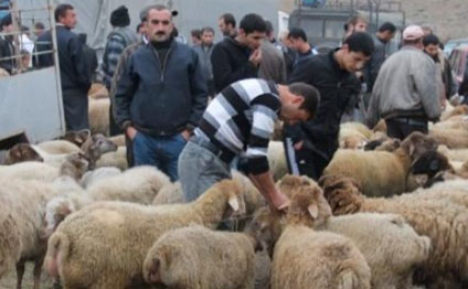 Qurbanlıq heyvan yarmarkalarının ünvanları